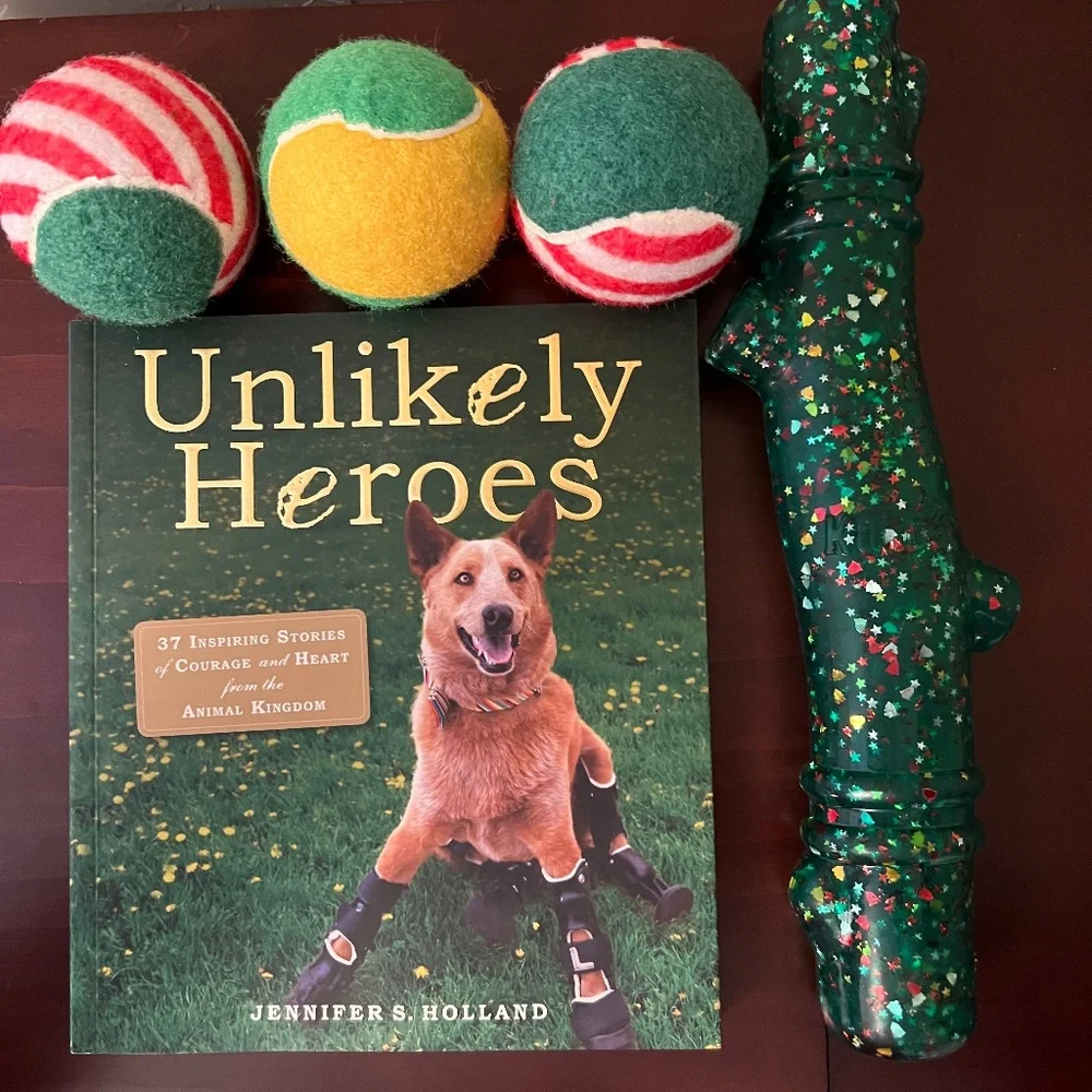 Dog Lover Christmas-Kong Dog Chew, “Unlikely Heroes”, 3 Balls & Hide/Seek Toy.